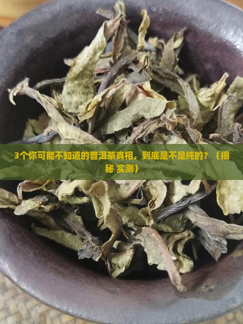 好的普洱茶是纯的么