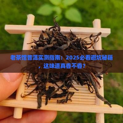 老茶馆里喝普洱茶