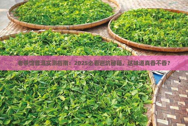 老茶馆里喝普洱茶