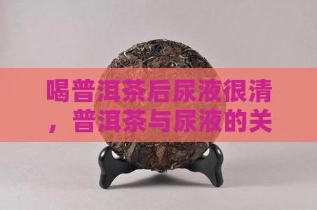 喝普洱茶后尿液很清