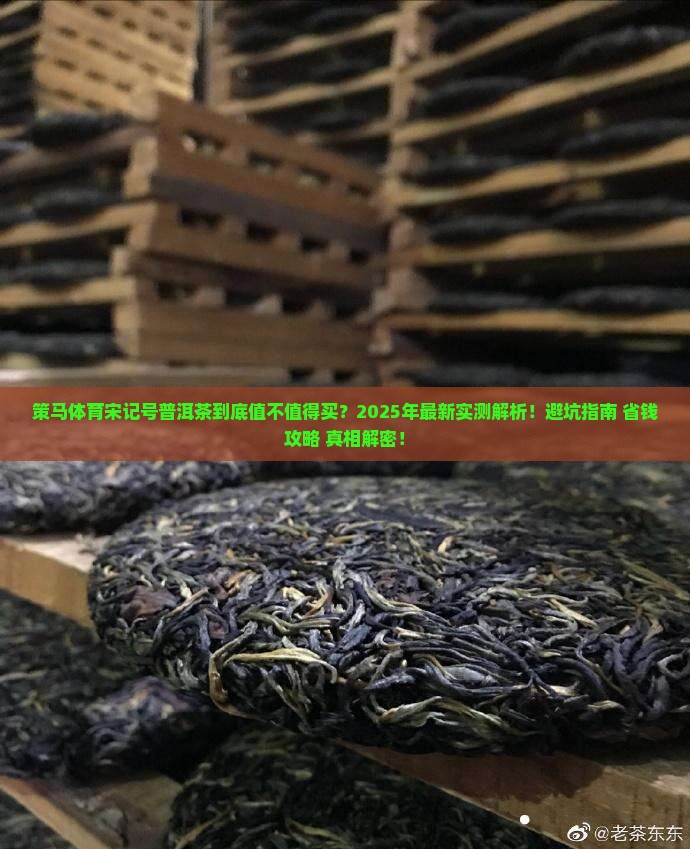 策马体育宋记号普洱茶