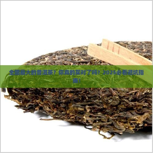全国最大的普洱茶