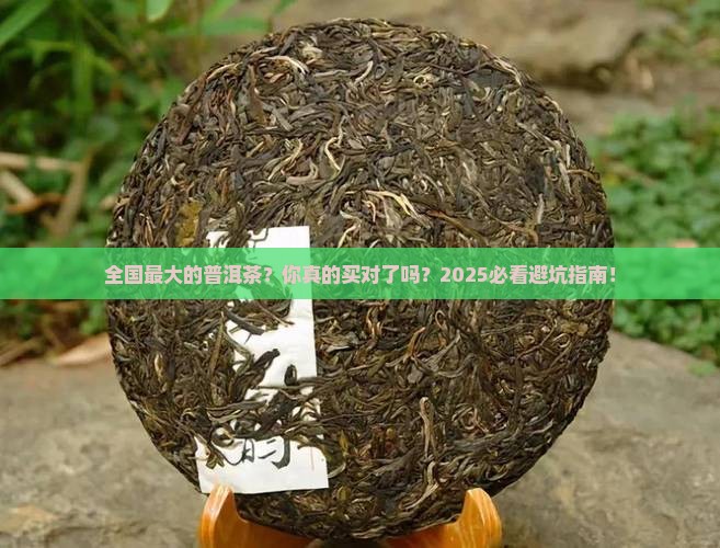 全国最大的普洱茶