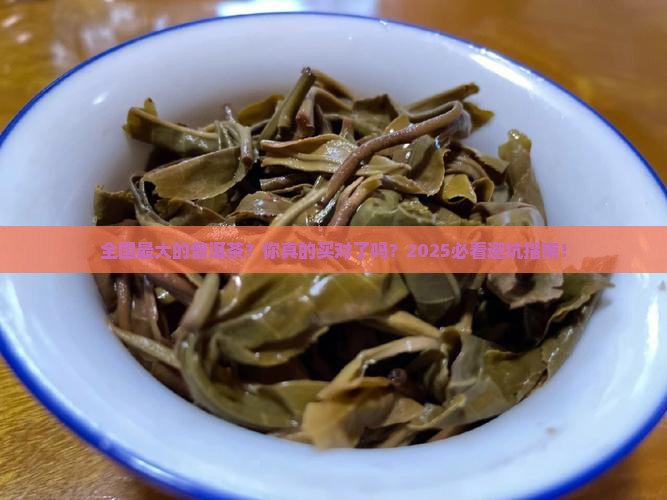 全国最大的普洱茶
