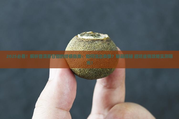如何泡出普洱茶中的甘甜