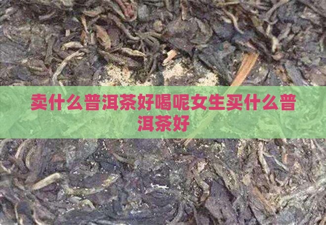 卖什么普洱茶好喝呢