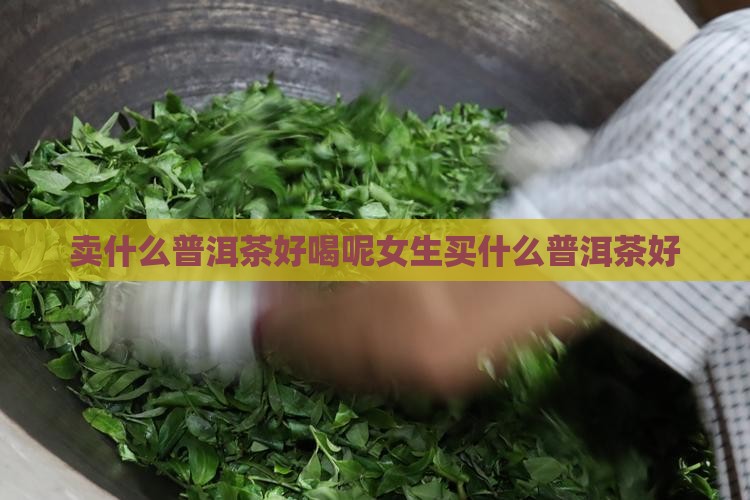 卖什么普洱茶好喝呢