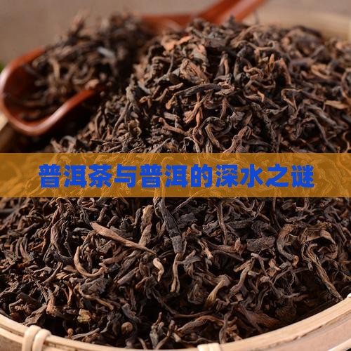 普洱茶的水有多深
