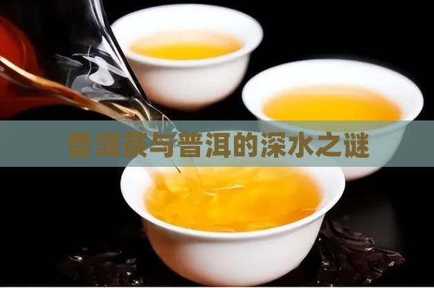 普洱茶的水有多深