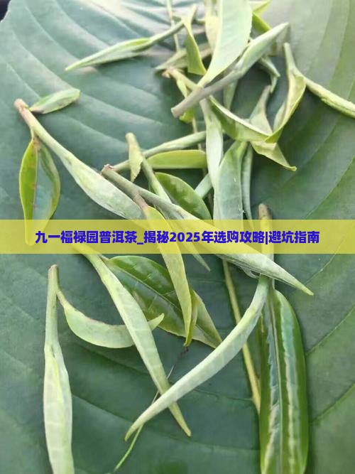九一福禄园普洱茶