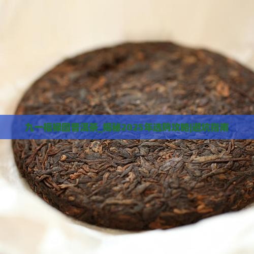 九一福禄园普洱茶