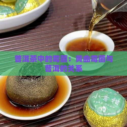 黄曲霉菌的普洱茶