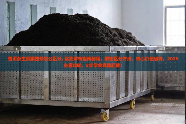 普洱茶生茶跟熟茶怎么区分