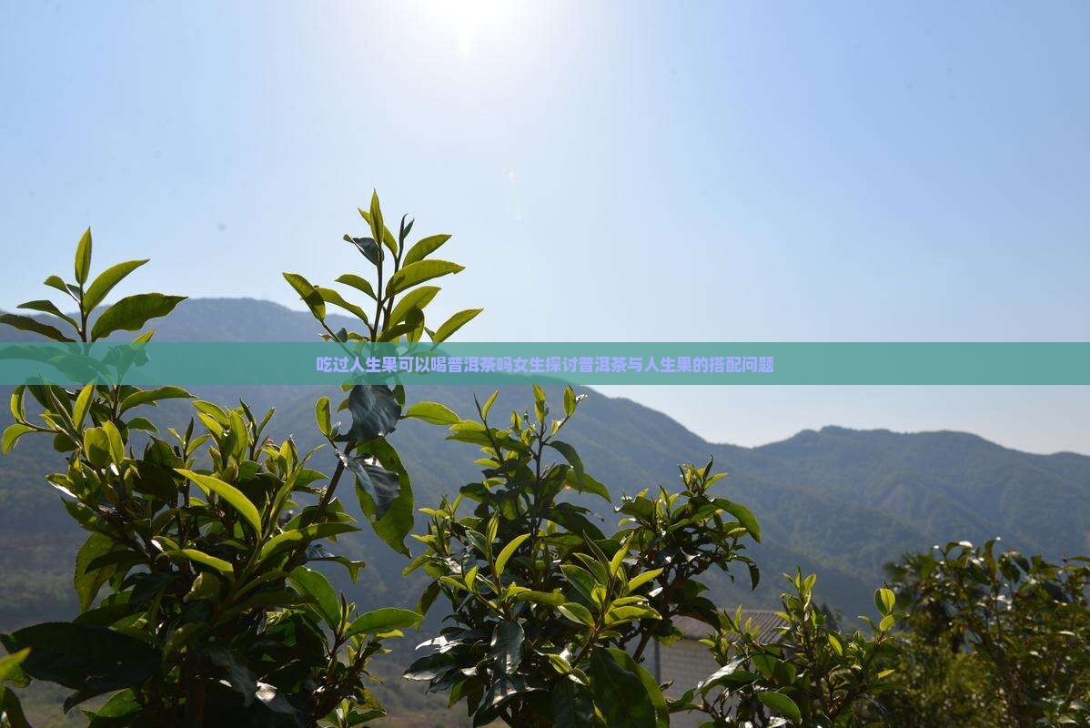 吃过人生果可以喝普洱茶吗