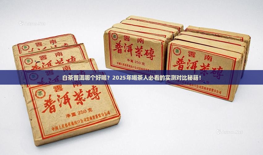 白茶普洱哪个好喝