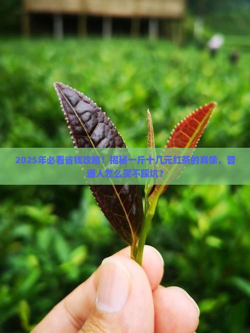 红茶一斤十几元能买吗