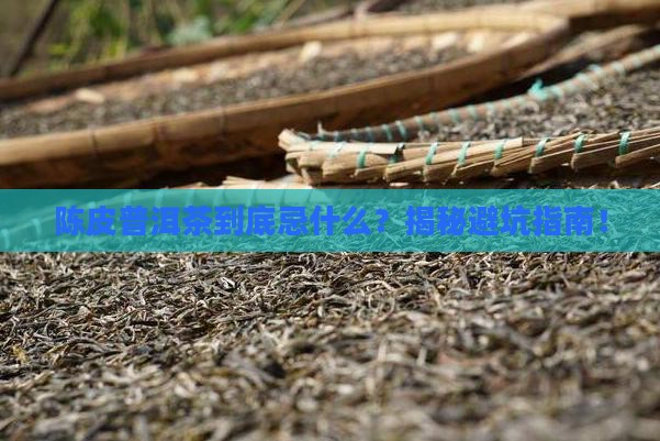 陈皮普洱茶忌什么