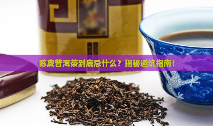 陈皮普洱茶忌什么