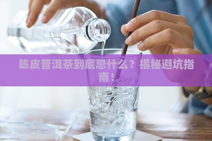 陈皮普洱茶忌什么