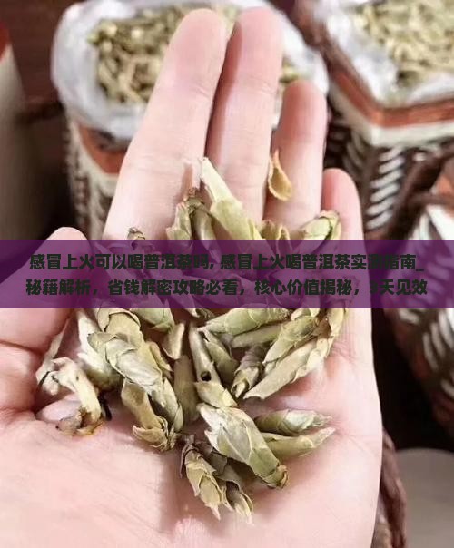 感冒上火可以喝普洱茶吗
