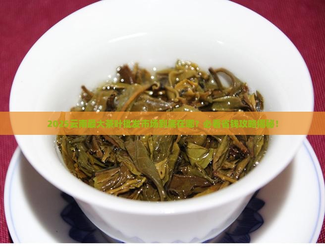 云南最大的茶叶批发市场在哪里