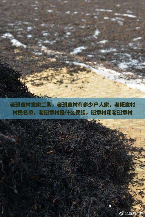 老班章村章家二队