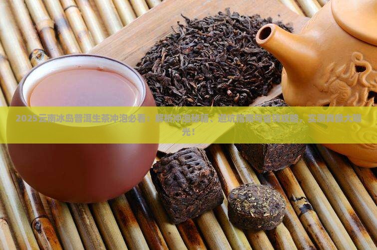 云南冰岛普洱生茶怎么冲泡