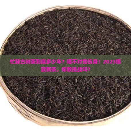 忙肺古树茶年龄