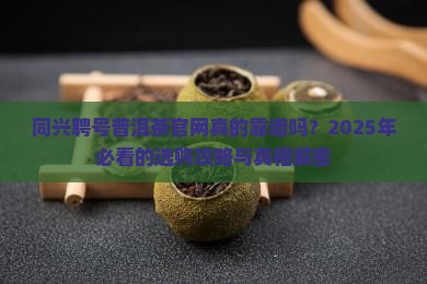 同兴聘号普洱茶官网