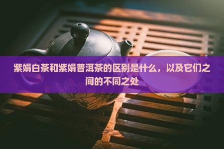 紫娟白茶和紫娟普洱茶的区别