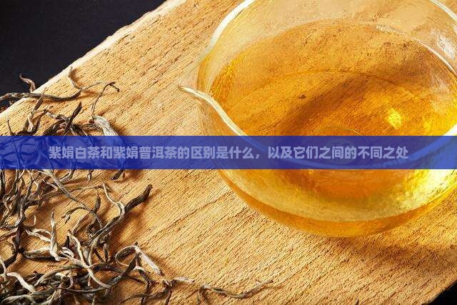 紫娟白茶和紫娟普洱茶的区别