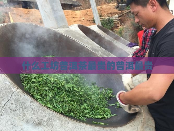 什么工坊普洱茶最贵的