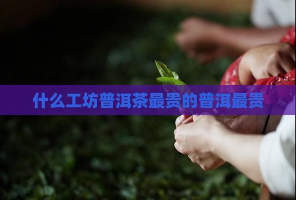 什么工坊普洱茶最贵的