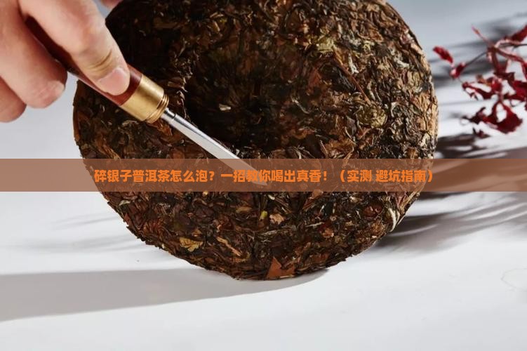 碎银子普洱茶怎么泡水喝