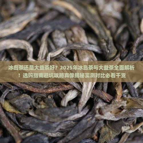 冰岛茶还是大益茶好