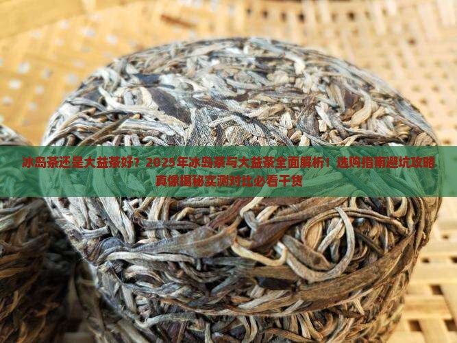 冰岛茶还是大益茶好