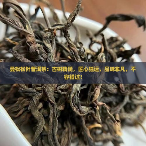 曼松松针普洱茶