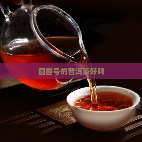 圆世号的普洱茶好吗