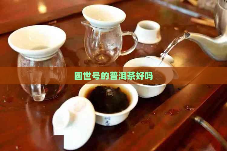 圆世号的普洱茶好吗