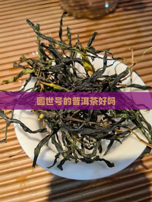 圆世号的普洱茶好吗
