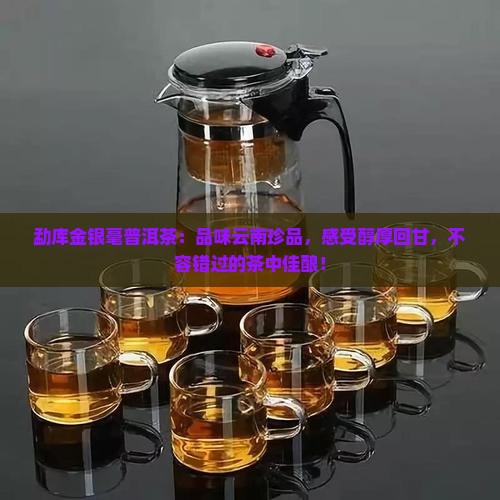勐库金银毫普洱茶
