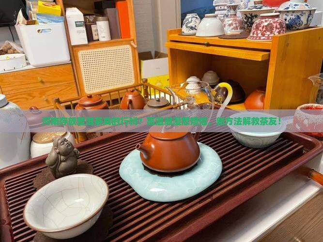 河南适合存放普洱茶吗