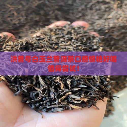 洪普号白玉兰普洱茶口感