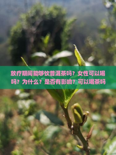 放疗期间能够饮普洱茶吗