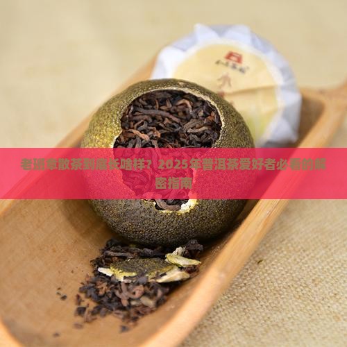 老班章普洱茶散茶什么样