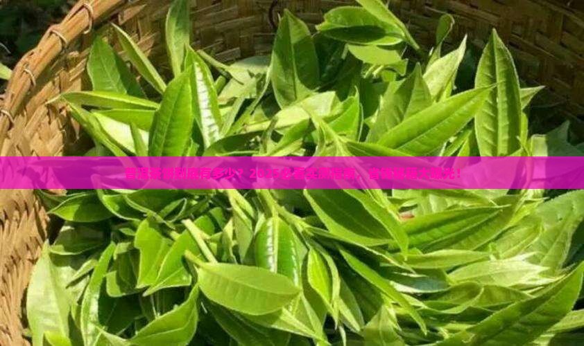普洱茶饼是多少