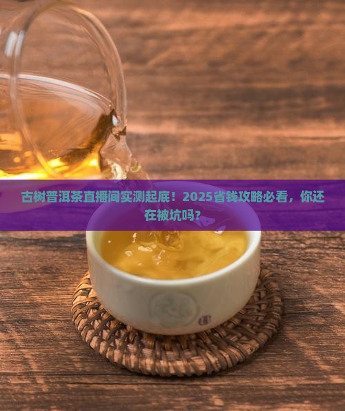 古树普洱茶直播间