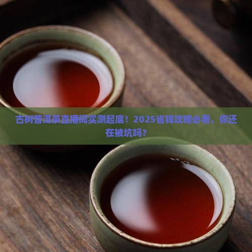 古树普洱茶直播间