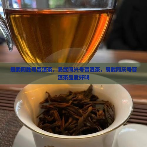 易武同胜号普洱茶