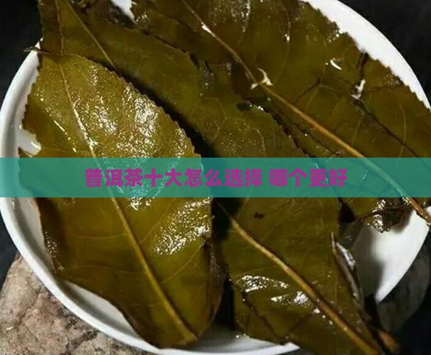 普洱茶十大品牌怎么选择